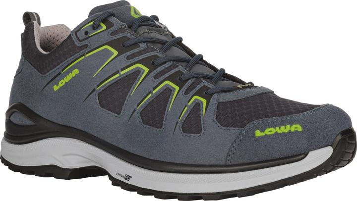Produktbild Lowa Innox EVO GTX LO (46)