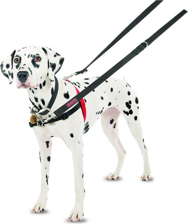Produktbild Company of Animals Halti Antizug M Front Control (M, Hund, Allgemein)