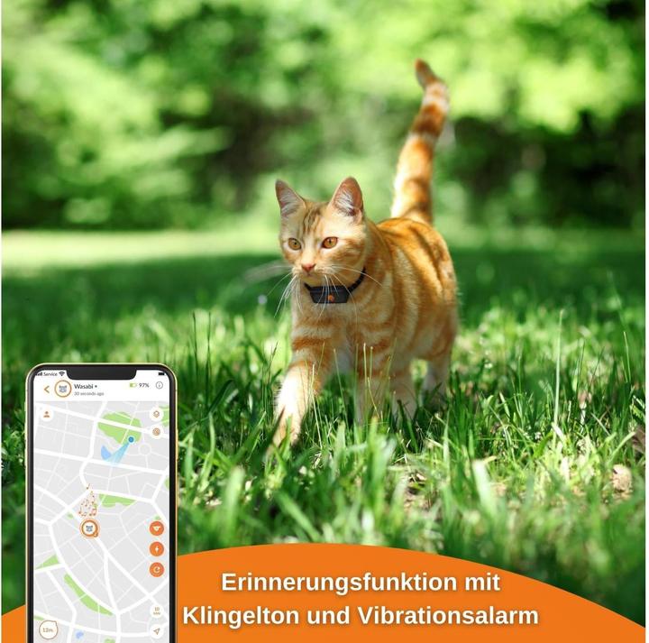Actual product image Weenect GPS-Tracker XS für Katzen (Cat)