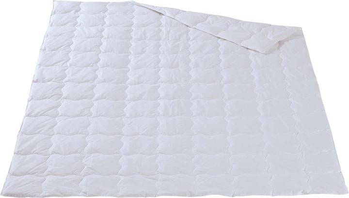 Swiss Leicht-Duvet