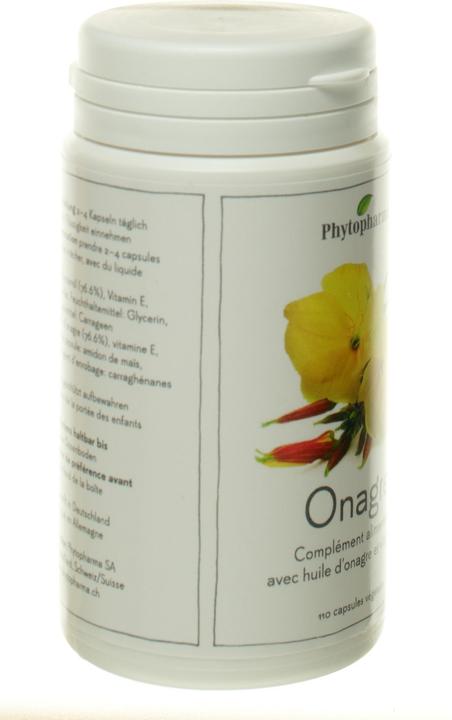 Actual product image Phytopharma Evening Primrose (1 Piece, Capsules, 110 g)