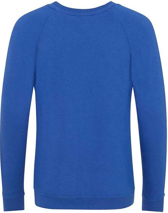 Immagine prodotto Awdis Academy Felpa Raglan Bambini (128)