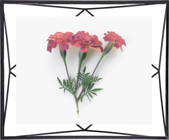 Actual product image Umbra Prism (20 x 25 cm)
