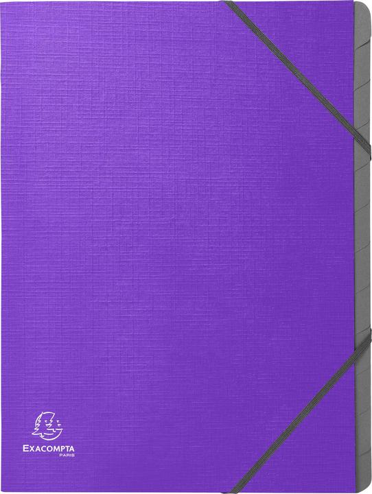 Immagine prodotto Exacompta Cartelle con dorso plissettato (A4, 25 x)