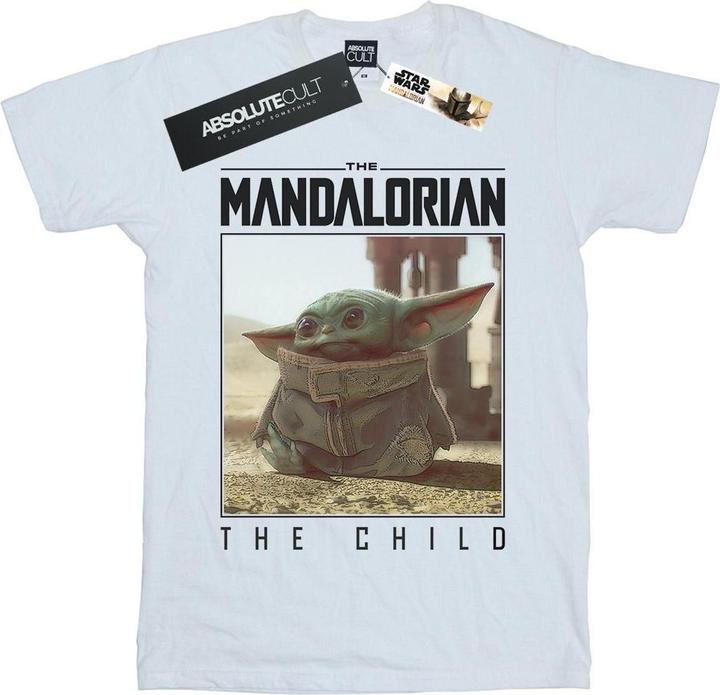 Star Wars The Mandalorian The Child Frame TShirt (5XL)