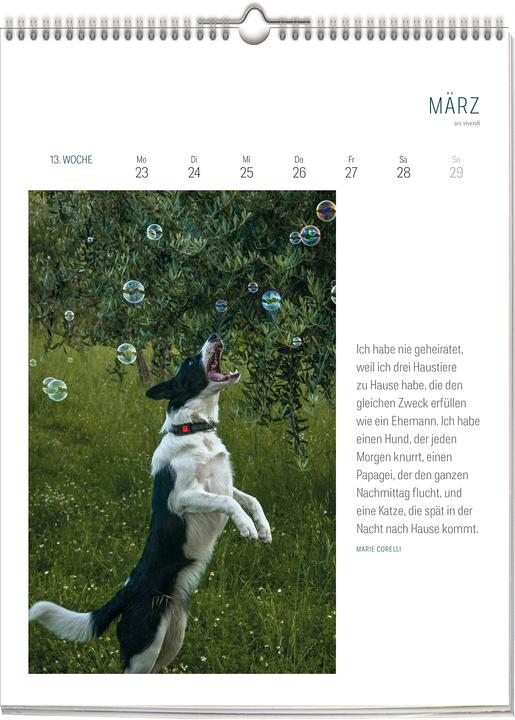 Produktbild Literarischer Hunde-Kalender 2026 (24 x 32 cm, Deutsch)