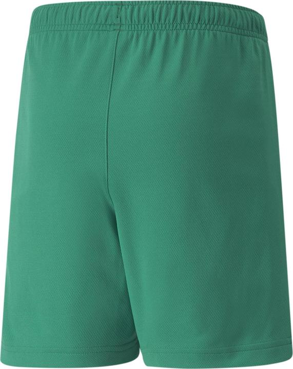 Actual product image Puma teamRISE Short Jr-704943 (164)