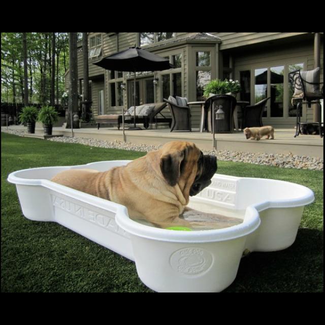 Immagine prodotto Neogard Piscina per cani (Piscina per cani)