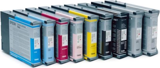 Actual product image Epson T6021 (PBK)