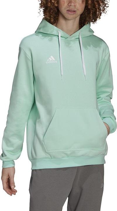 Image du produit adidas Sweat à Capuche Entrada 22 (XS)