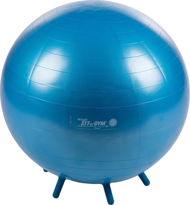 Produktbild Ledraplastic Sitzball Sit 'n' Gym (65 cm)