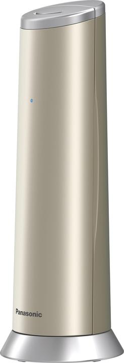 Actual product image Panasonic KX-TGK220GN