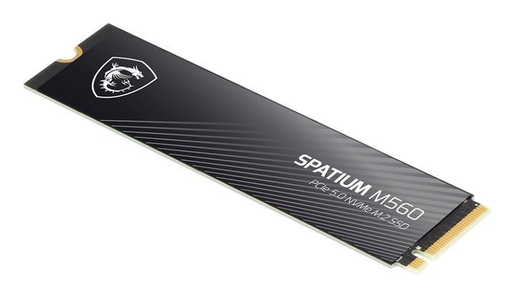 Actual product image MSI Spatium M560 (2000 GB, M.2 2280)
