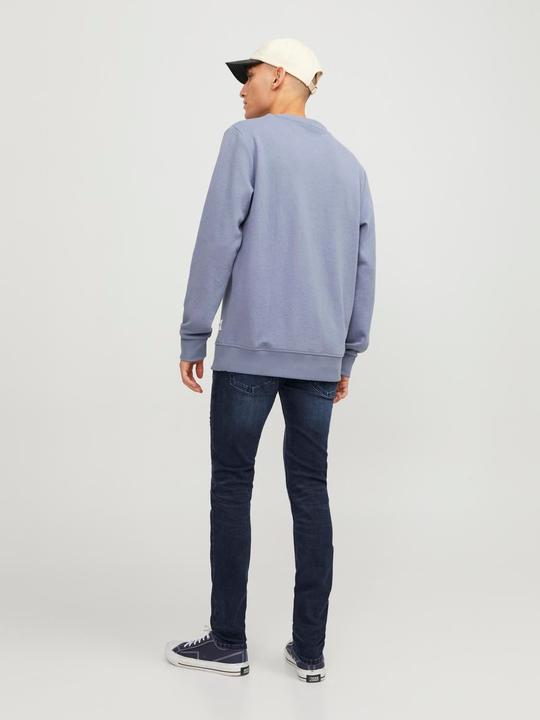 Actual product image Jack & Jones Liam Original AGI 004 Skinny Fit Jeans (W28/L32)