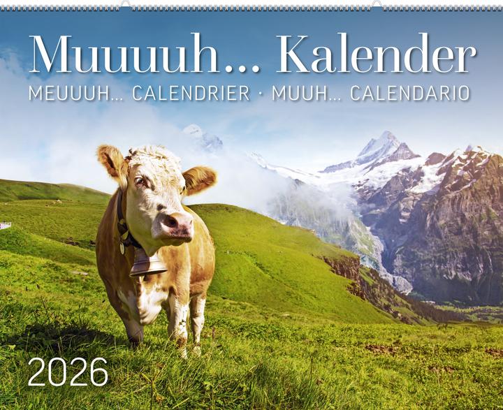 Muuuuh... Kalender 2026 (Deutsch)