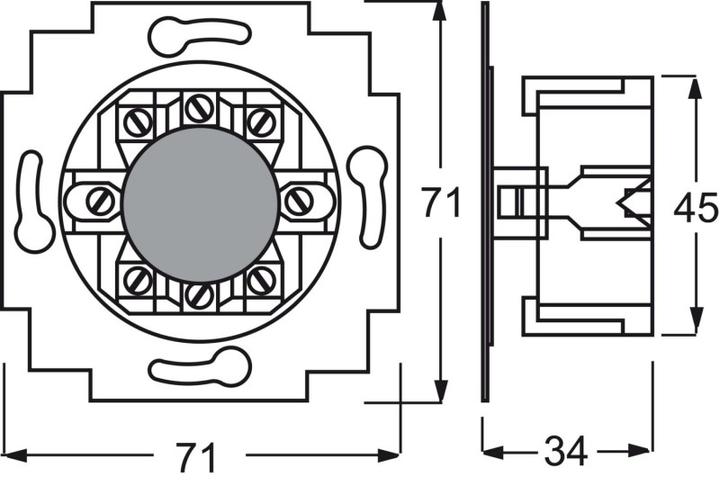 Actual product image Busch-Jaeger Insert