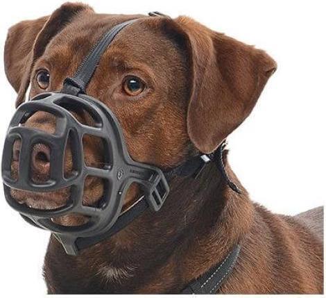 Actual product image Kruuse Muzzle (Dog, Dog sport)
