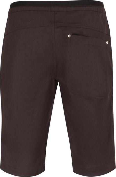 Actual product image Directalpine Rock Shorts 1.0, Kurze Hose, Herren (Regular Fit) - Direct Alpine, 200 (L)
