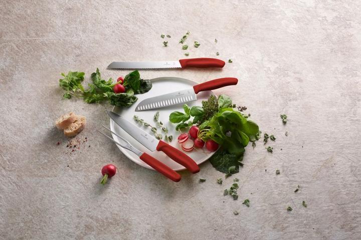 Image du produit Victorinox Swiss Classic (21 cm)