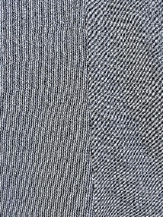 Actual product image Carl Gross Suit Pants (48)