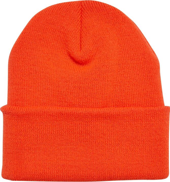 Actual product image Flexfit YP Classics Thinsulate Cuffed Beanie - 169977