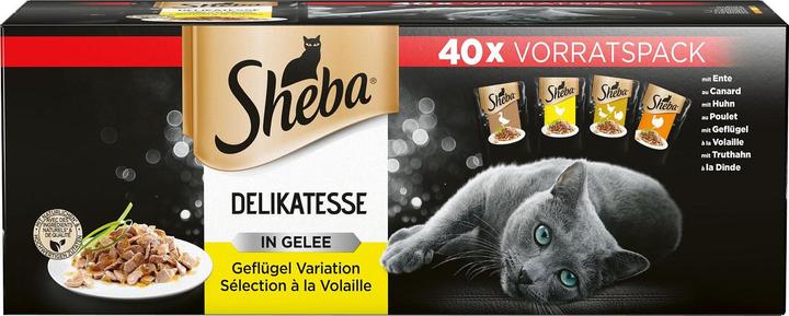 Sheba Delikatesse in Gelee (Adult, 40 Stk., 3400 g)