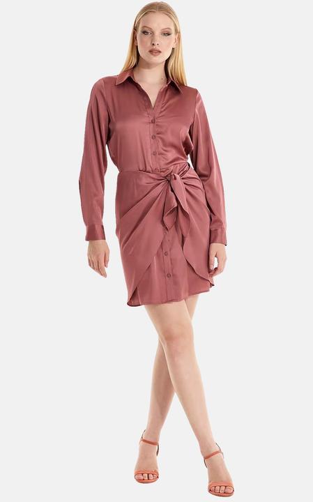 Actual product image Guess Kleider Langärmliges Hemdkleid Alya mit durchgehender Knopfleiste in glänzender Optik (XS)