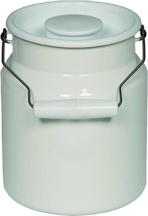 Riess Carrying jug (3 l)