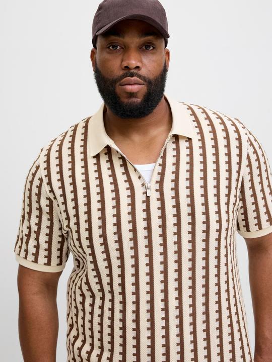 Actual product image Jack & Jones Plus Size Gestreift Poloshirt Poloshirt (3XL)
