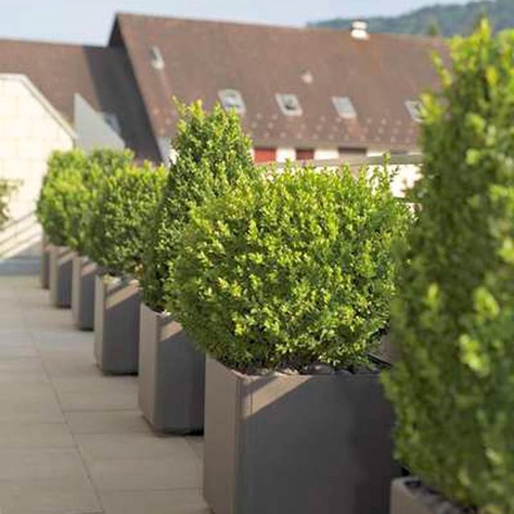 Produktbild Eternit Delta (45 cm)