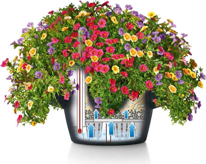 Produktbild Lechuza Cascadino (30 cm)