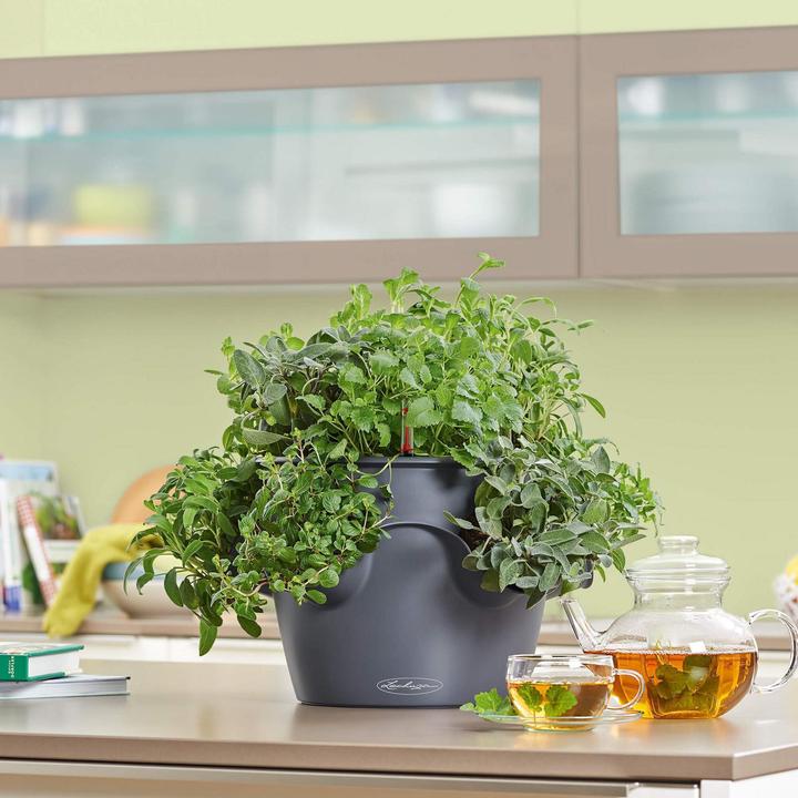 Produktbild Lechuza Cascadino (30 cm)