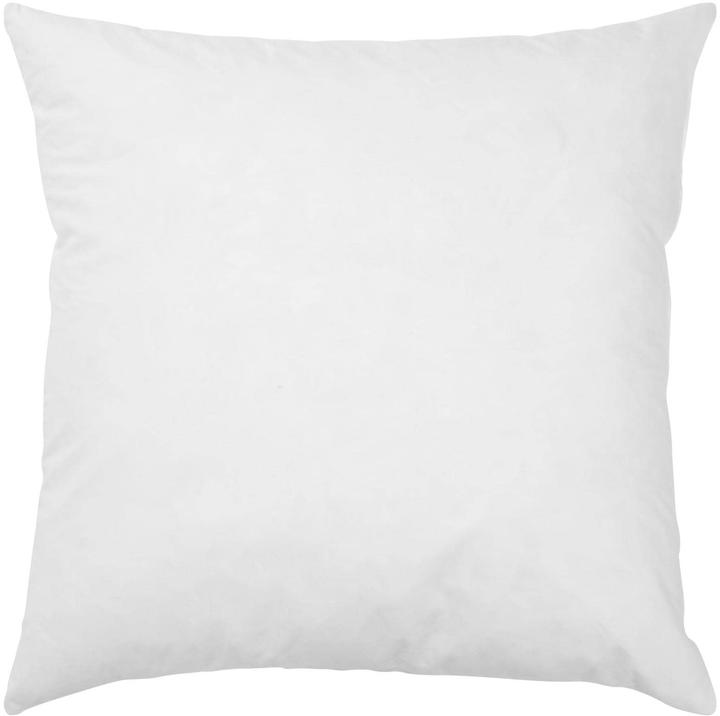 PAD Cuscino con piume (40 x 40 cm)