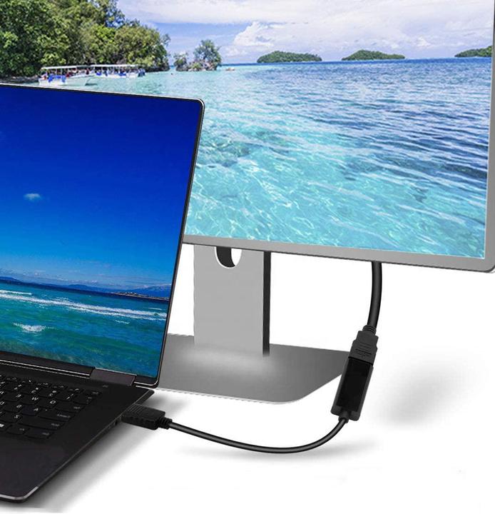 Actual product image Montiss Adapter DisplayPort v1.4 - HDMI v2.0 MT068 Black (HDMI, 20 cm)