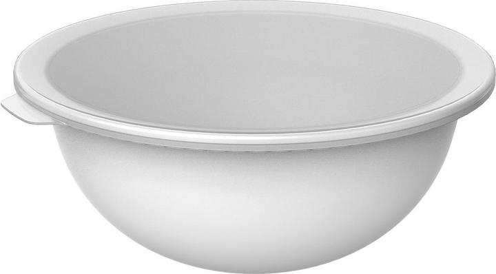 Rotho Caruba (30.50 cm, 4.80 l, 1 x)