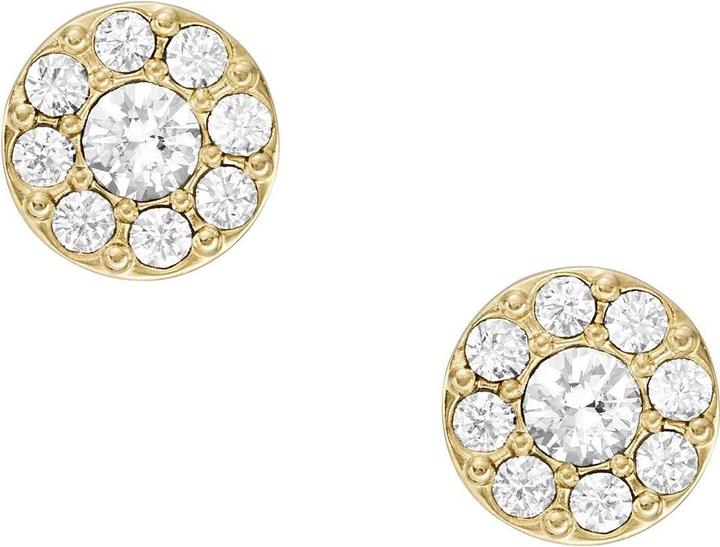 Image du produit Fossil Bijoux Boucles d'oreilles (Acier inoxydable)
