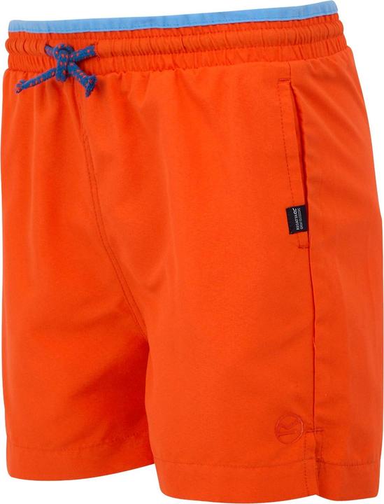 Produktbild Regatta Skander III Kurze Hose (104)