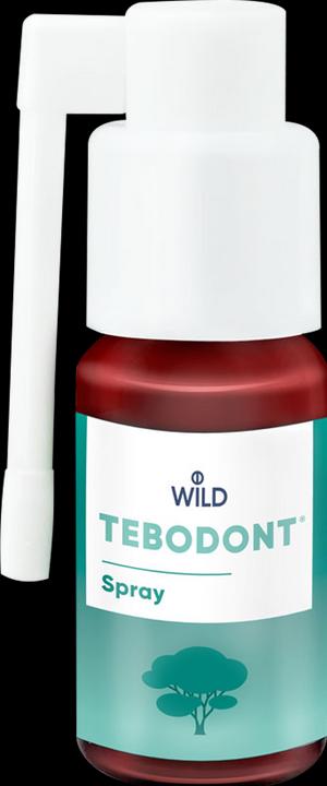 Immagine prodotto Tebodont Spray (25 ml)