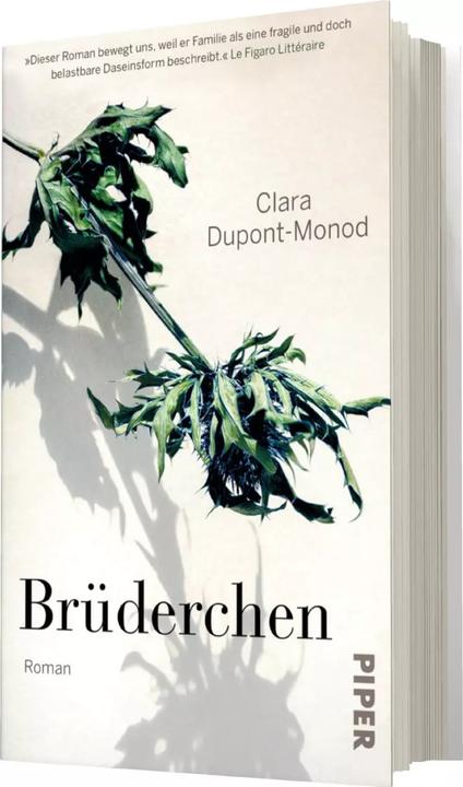 Produktbild Brüderchen (Deutsch, Clara Dupont-Monod, 2023)