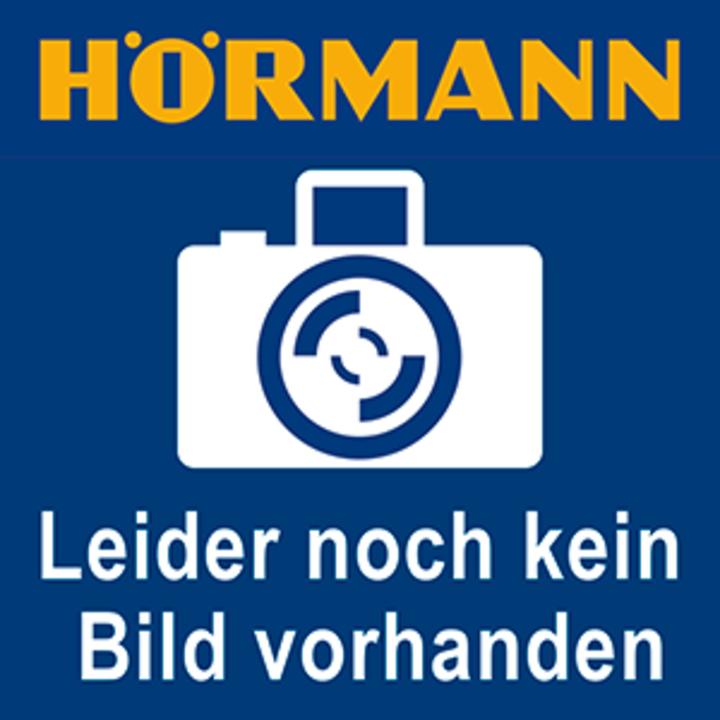 Actual product image Hörmann Hand-held transmitter HSE4 868-BS High-gloss chrome Frozen remote control (Handheld transmitter)