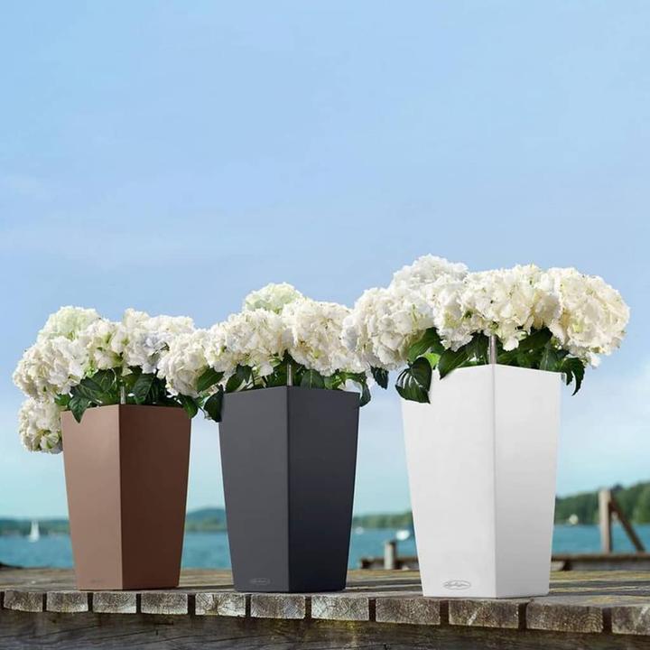 Actual product image Lechuza Cubico Color (22 cm)