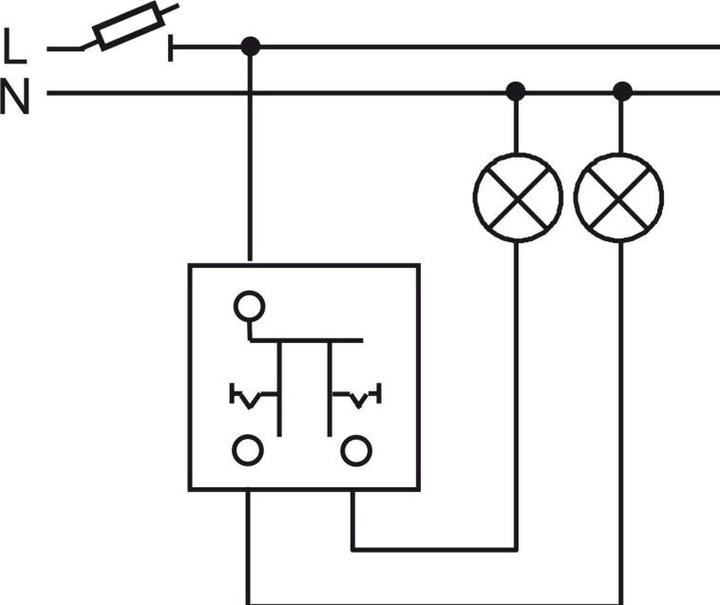 Actual product image Busch-Jaeger Series switch insert