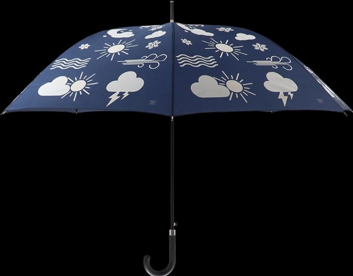 Produktbild Esschert Design Regenschirm Wetter Blau