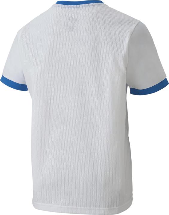Immagine prodotto Puma Maglia teamGOAL 23 jr-704160 (152)