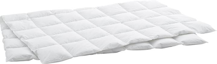 Produktbild Billerbeck Edition Thea Clima (620 g, 200 x 210 cm)