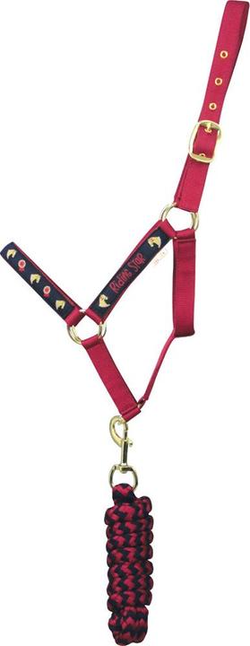 Immagine prodotto Hy Equestrian Riding Star Collection Cavezza e Guinzaglio per Cavallo