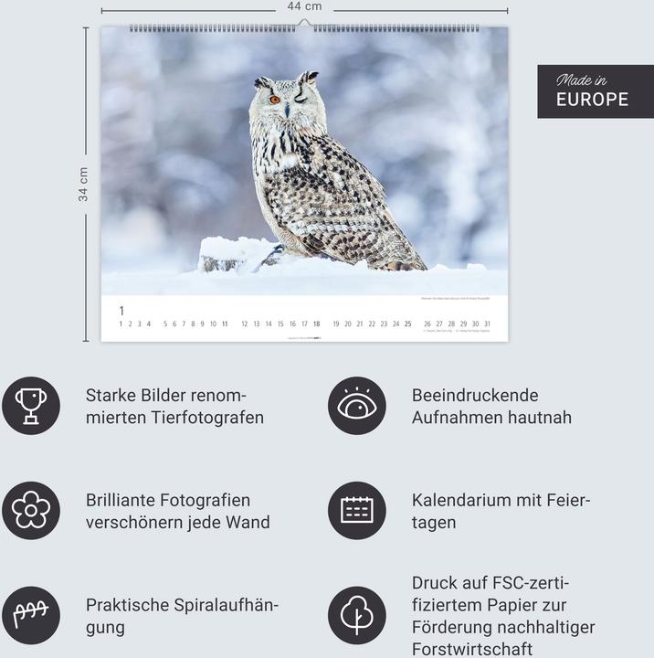 Immagine prodotto Eulen Kalender 2026 (44 x 34 cm, Copertina rigida, Tedesco, Inglese)