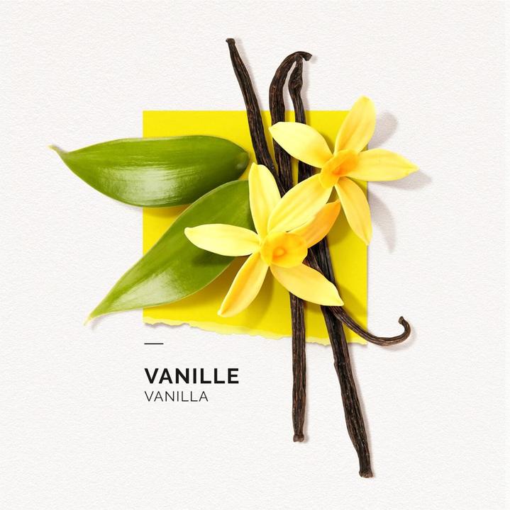 Actual product image Solinotes Paris Solinotes - Vanilla Eau De Parfum (Eau de parfum, 15 ml)