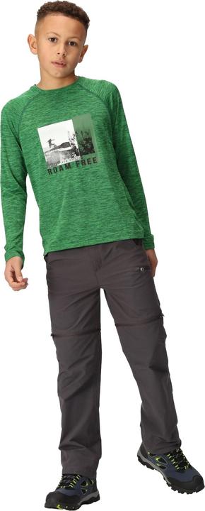 Actual product image Regatta Childrens/Kids Burnlee Roam Free Graphic Print Marl T-Shirt (128)
