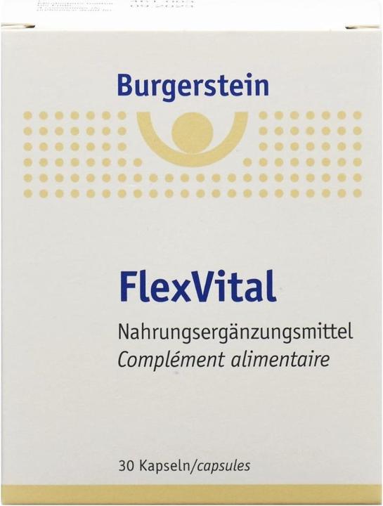 Actual product image Burgerstein FlexVital (1 Piece, Capsules, 38 g)